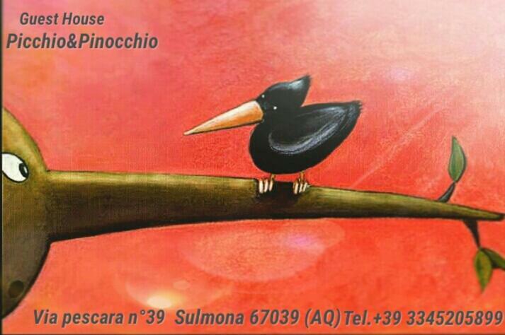 Picchio&Pinocchio Guest House Sulmona Kültér fotó